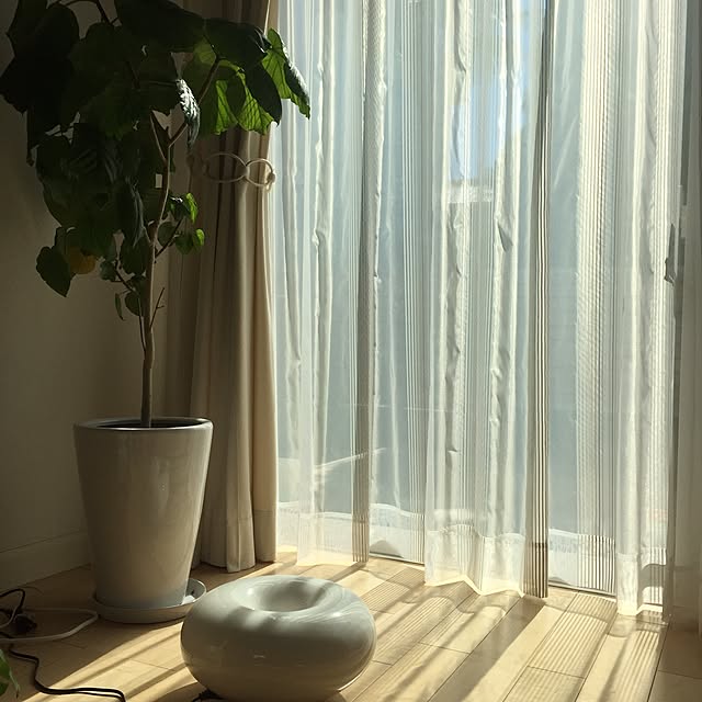 maykoさんの実例写真