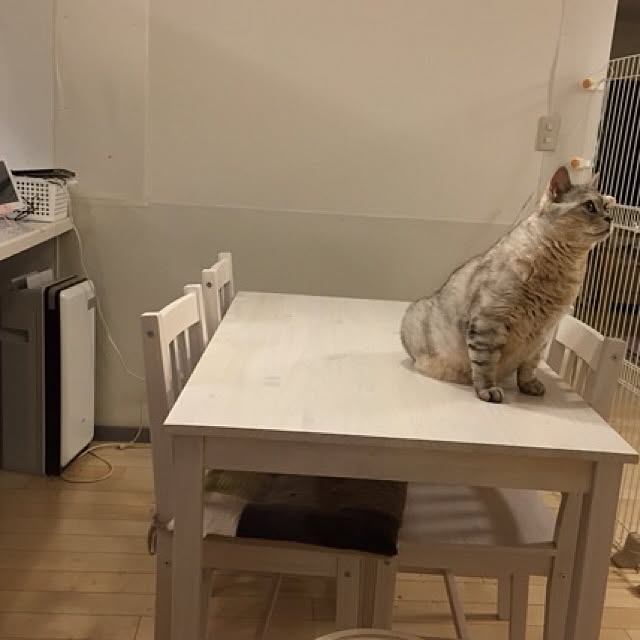 キッチンのインテリア実例 - 2015-09-19 14:05:34