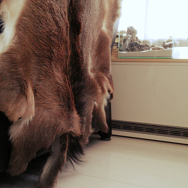 nonononakaさんの実例写真