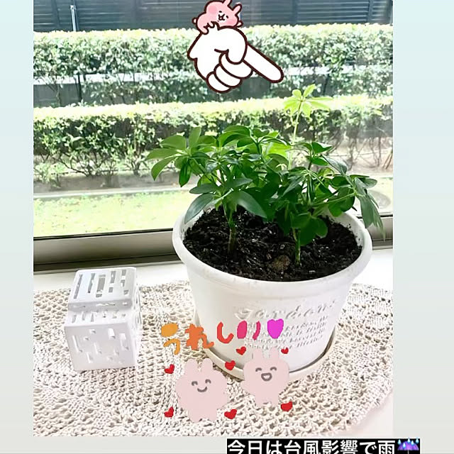 YuuKoさんの実例写真