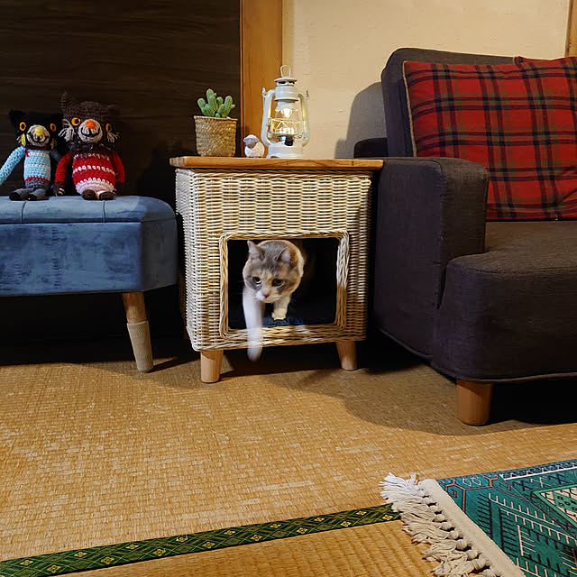 fukuさんの実例写真