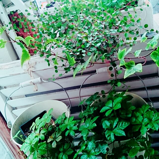 机のインテリア実例 - 2016-06-29 14:01:21