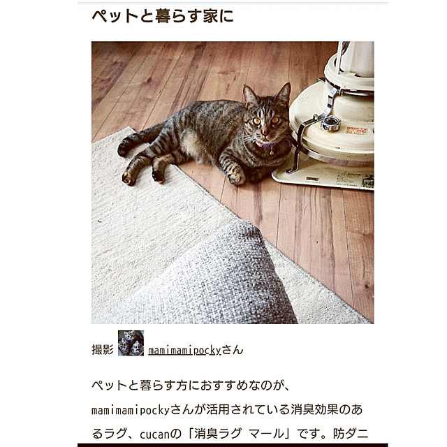 mamimamipockyさんの実例写真