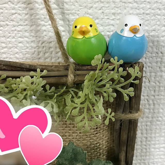 takaさんの実例写真