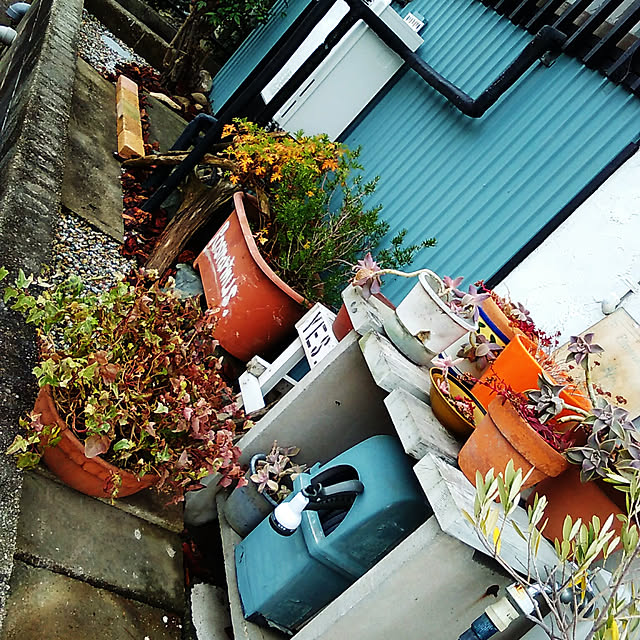 Kaneko.gunmaさんの実例写真