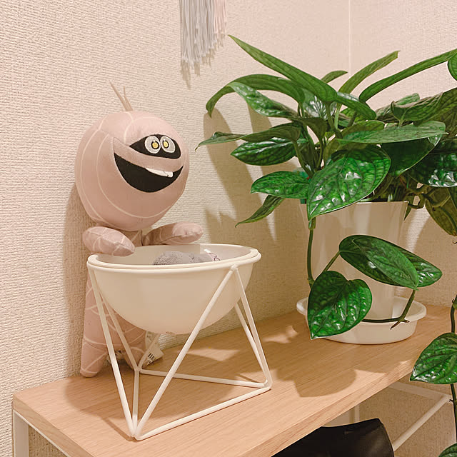 sssさんの実例写真