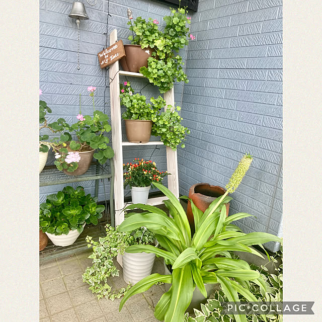 CoCo0617さんの実例写真