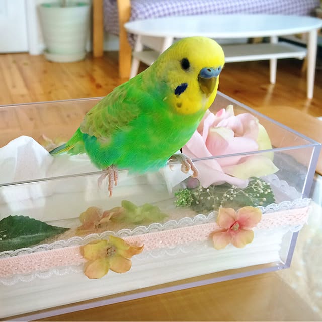 HappyRoseさんの実例写真