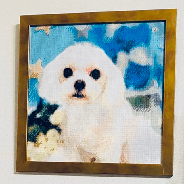 syukoさんの実例写真