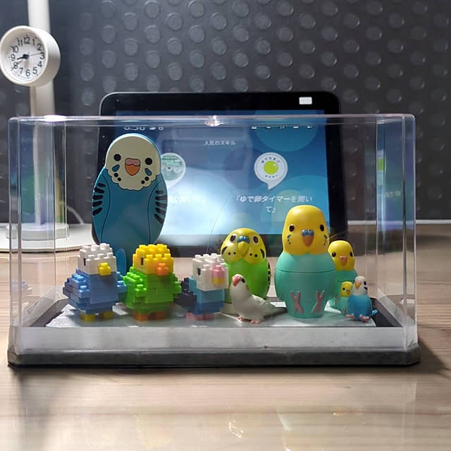 toratanさんの実例写真