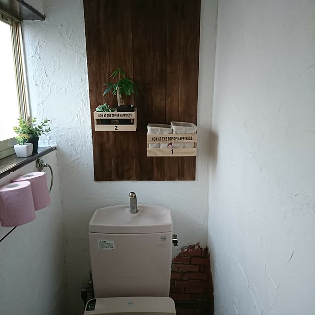 バス/トイレ/DIY/観葉植物/セリア/ダイソーのインテリア実例 - 2017-07-15 18:17:01