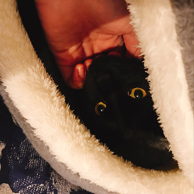 Machiさんの実例写真
