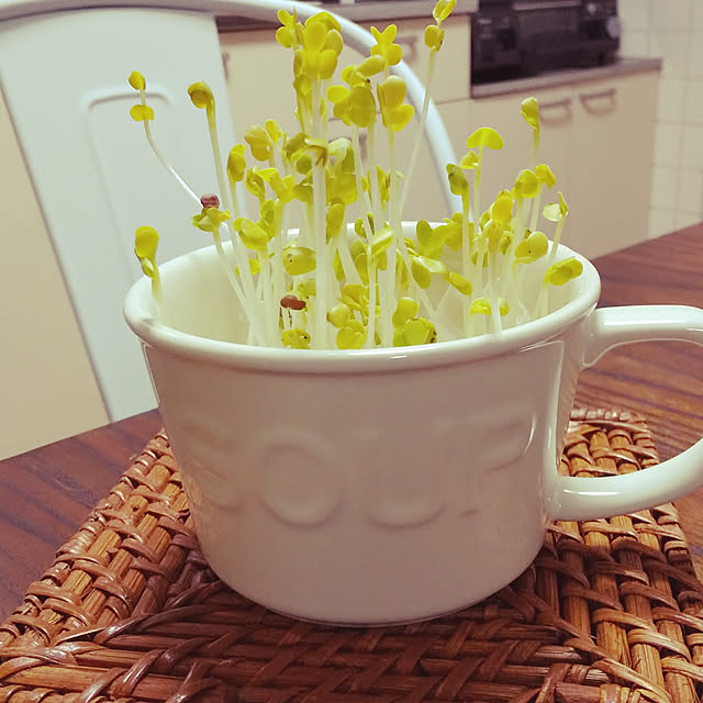 korohukumamanさんの実例写真