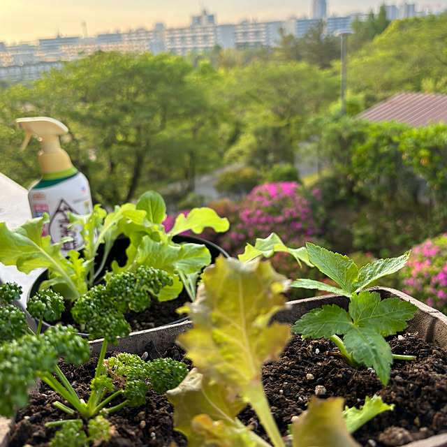 syutmmさんの部屋