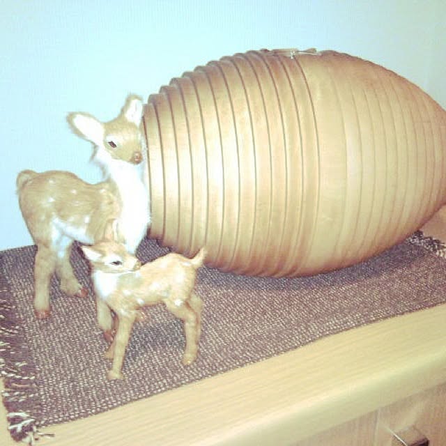 実例写真