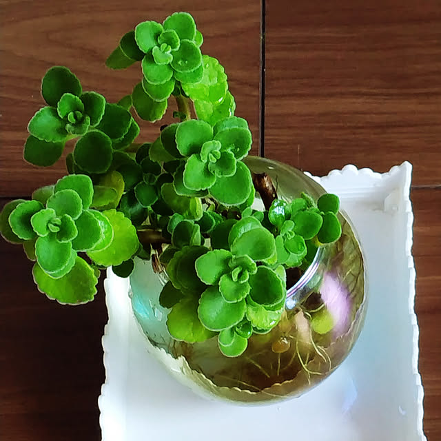 yu24さんの実例写真