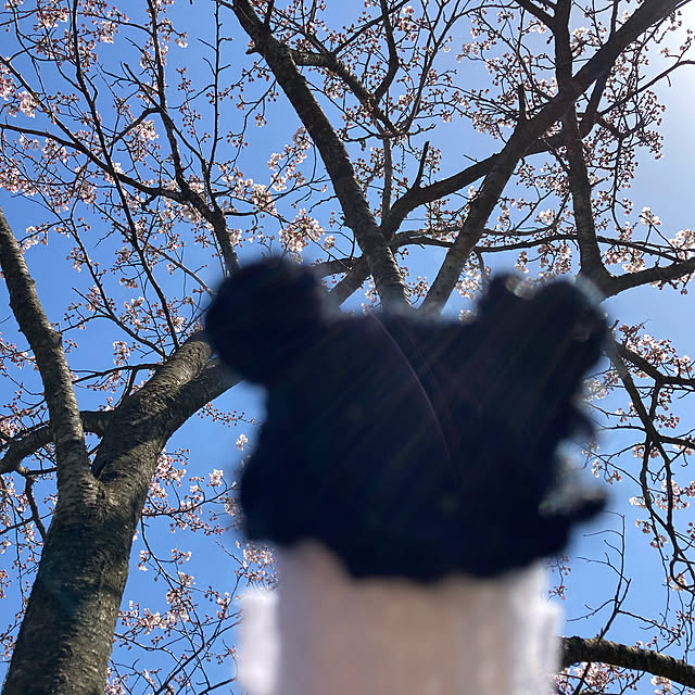 manduonmaさんの実例写真