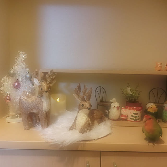 toratanさんの実例写真