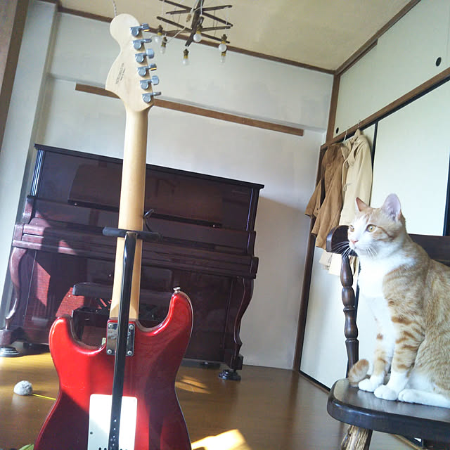 ayanosunさんの実例写真