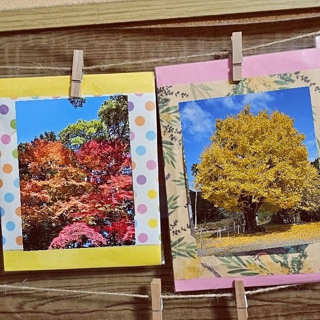 mocomocoさんの部屋