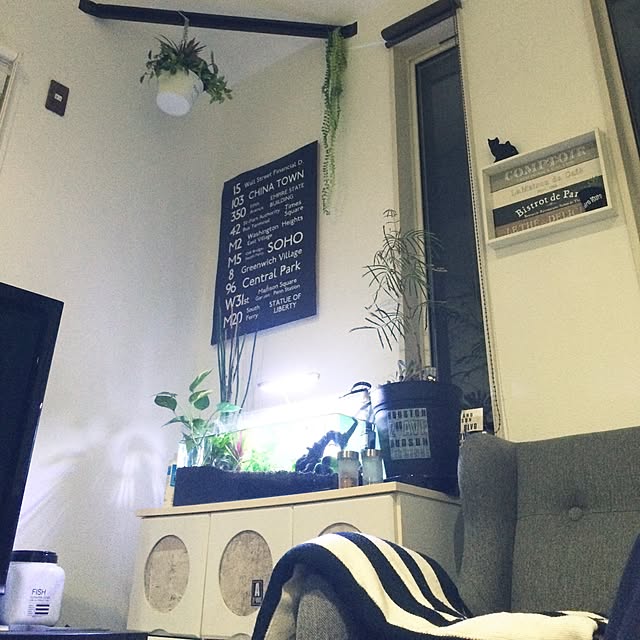 Miさんの実例写真