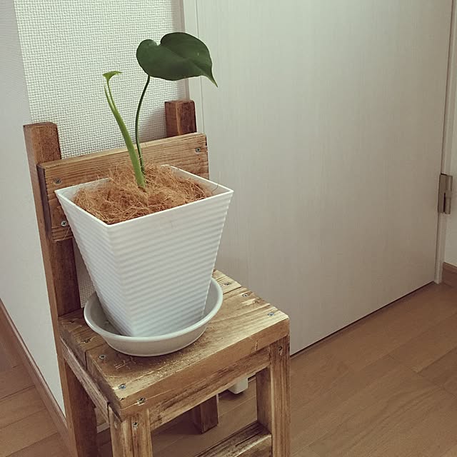 miyochanさんの実例写真