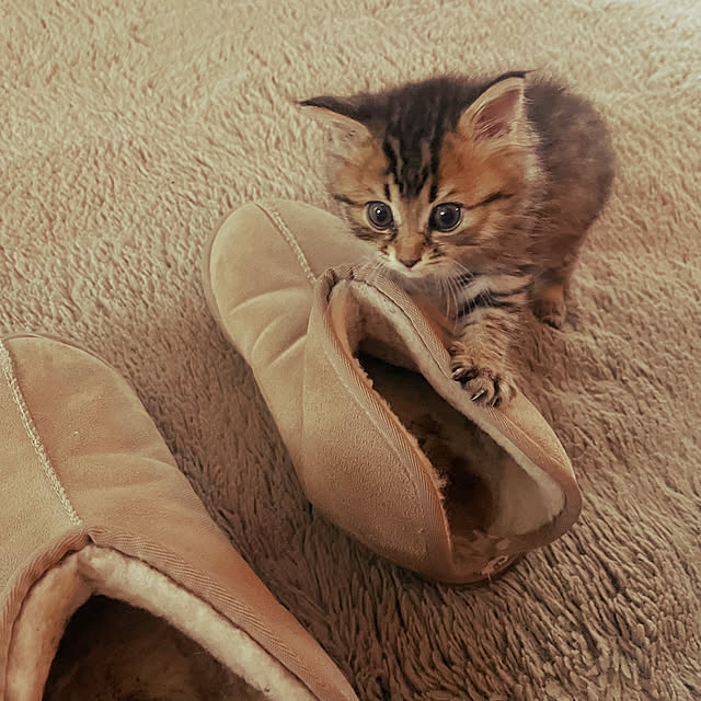 Mさんの実例写真