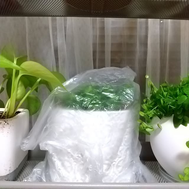 meiさんの部屋