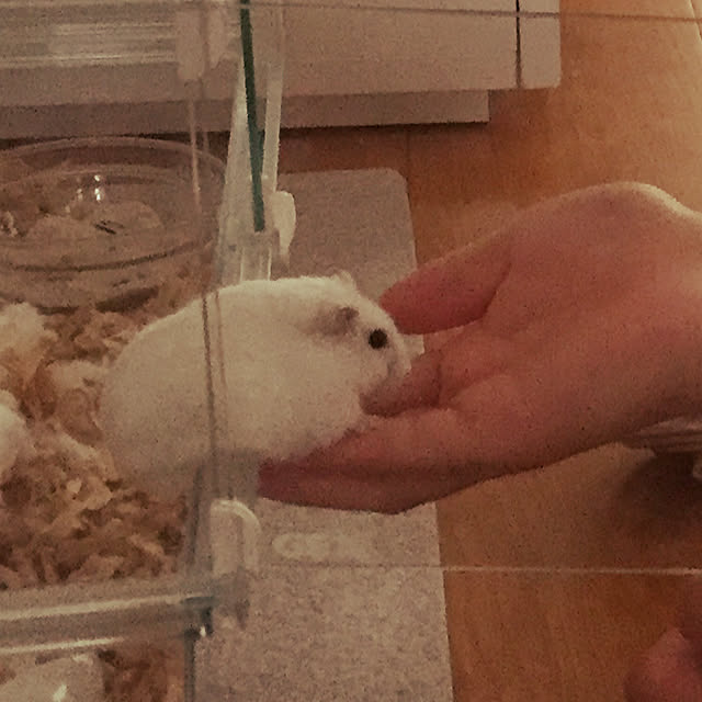mimiさんの実例写真