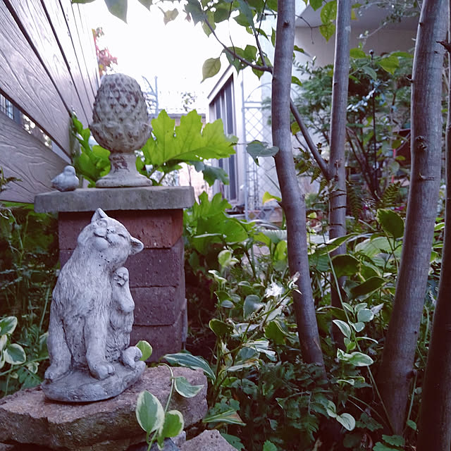 chocoさんの実例写真