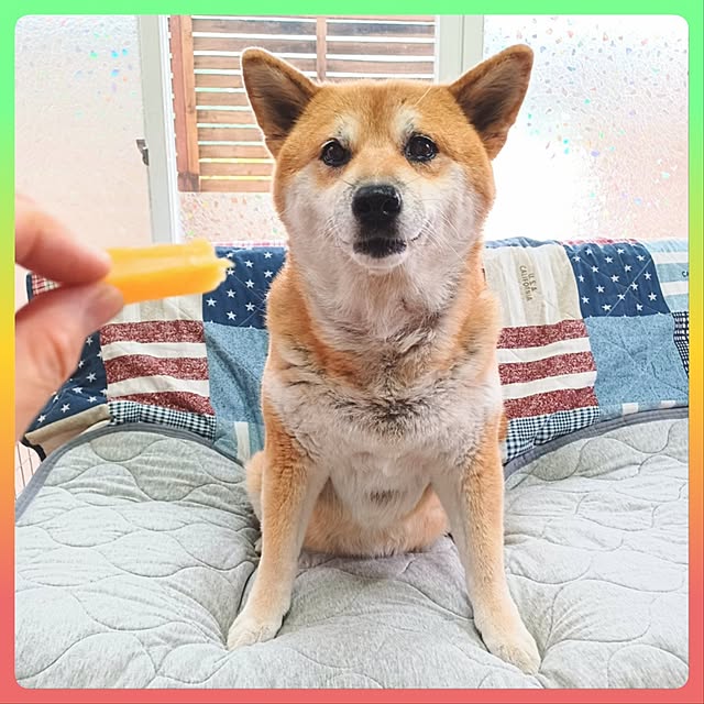 nanaさんの部屋