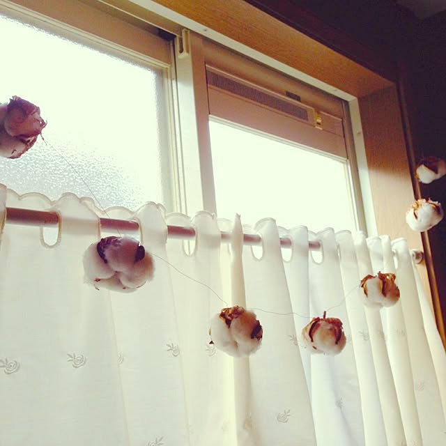 aneraさんの実例写真