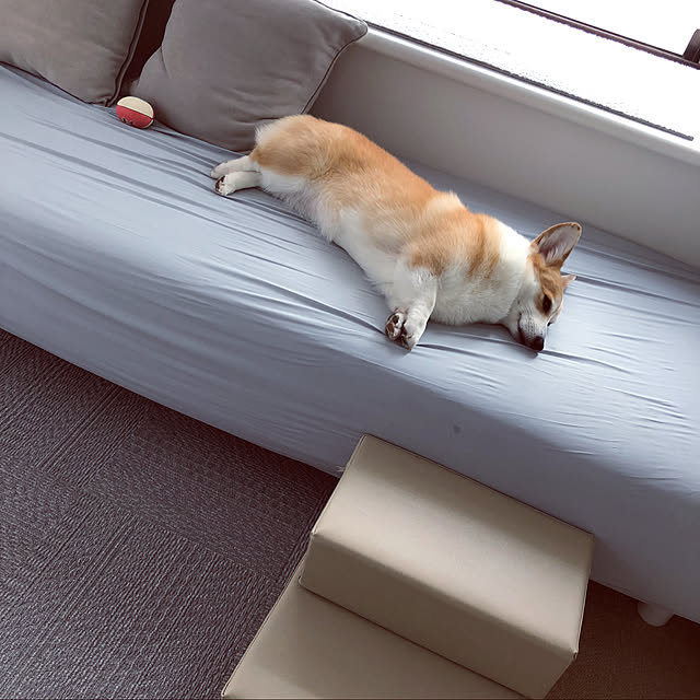 minicorgi8さんの実例写真