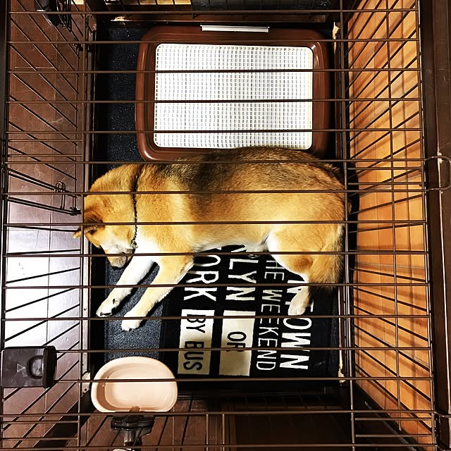 Gingaさんの実例写真