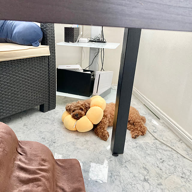 MOMOMAMAさんの実例写真