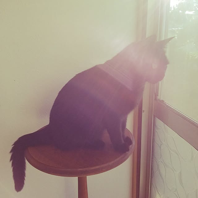 kuromiさんの実例写真