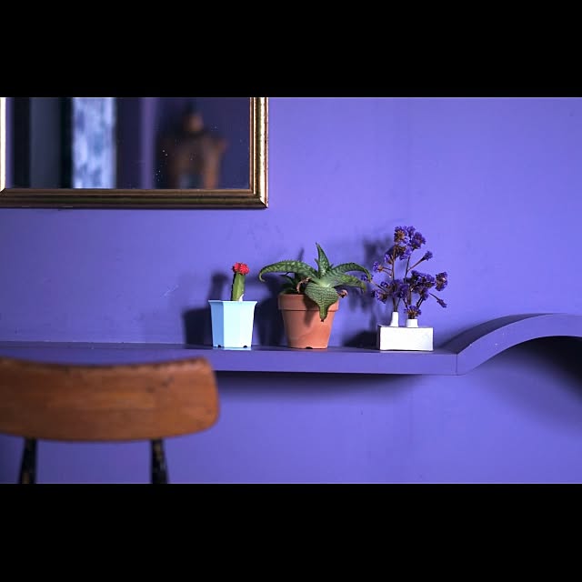 Design papa Ka-tuさんの実例写真