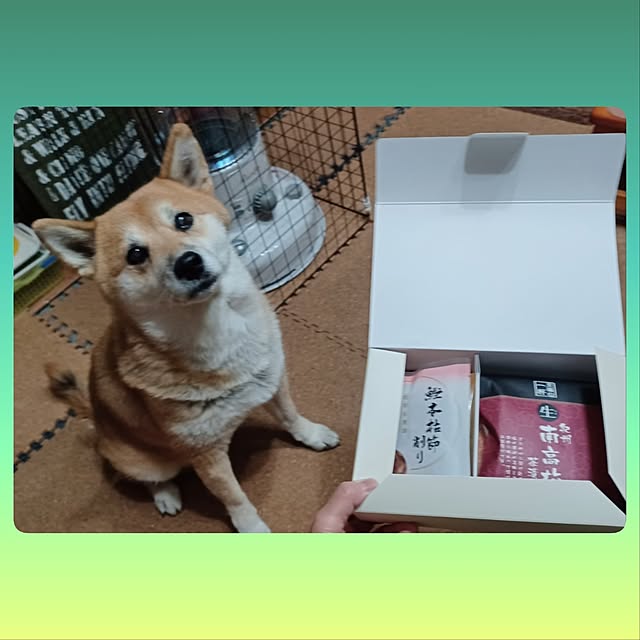 nanaさんの部屋