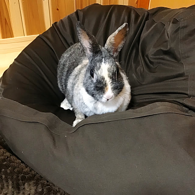 zackeyさんの実例写真