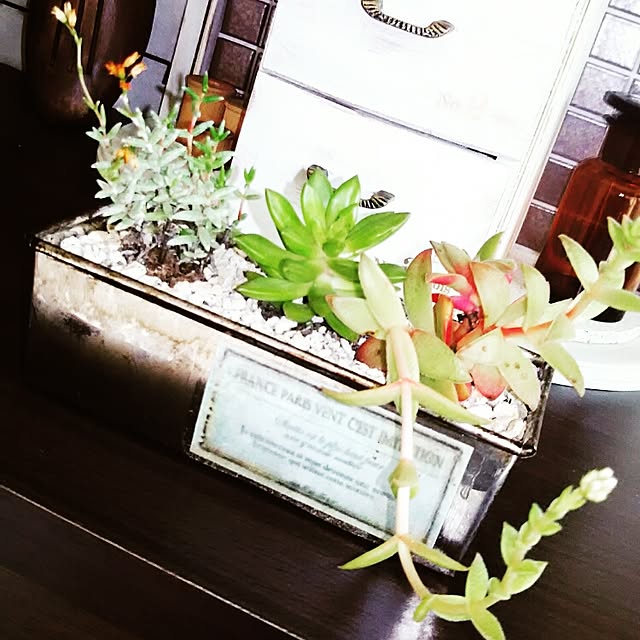 LittleMyさんの実例写真