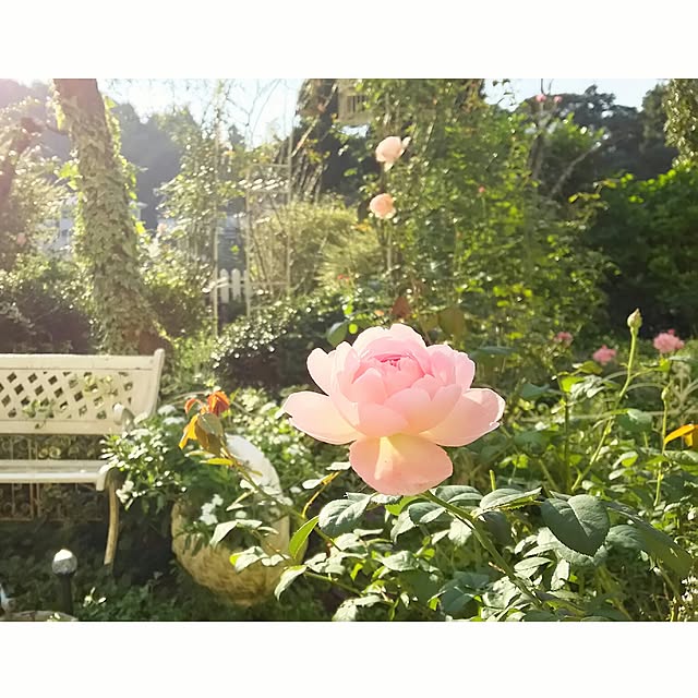 s.mamaさんの実例写真