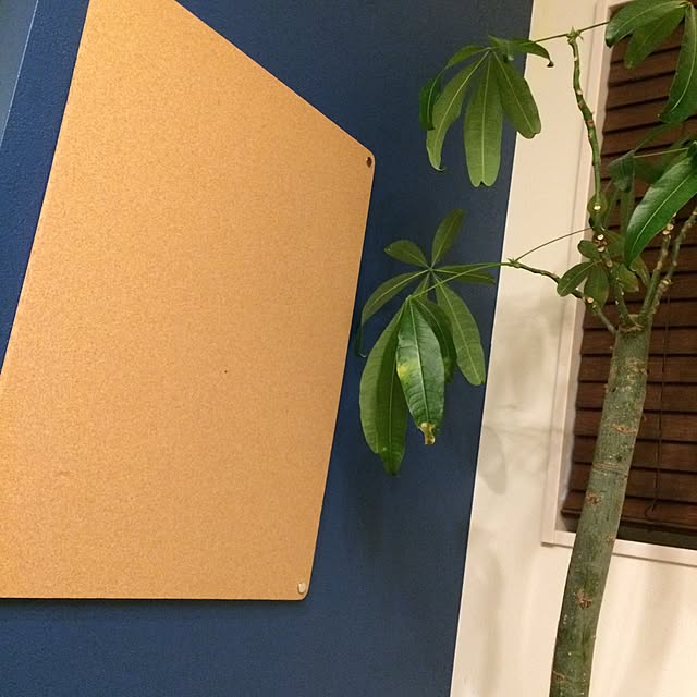 i.mxxiさんの実例写真