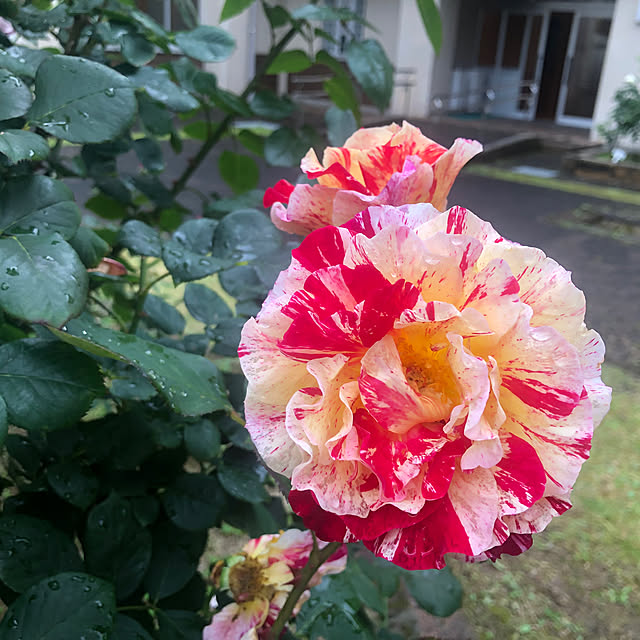 jun0212さんの実例写真