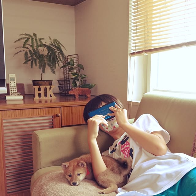 実例写真