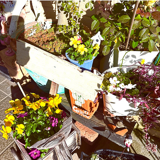 takakoさんの実例写真