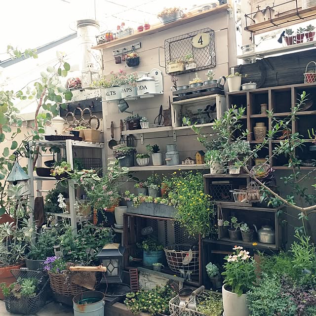 kokkomachaさんの実例写真
