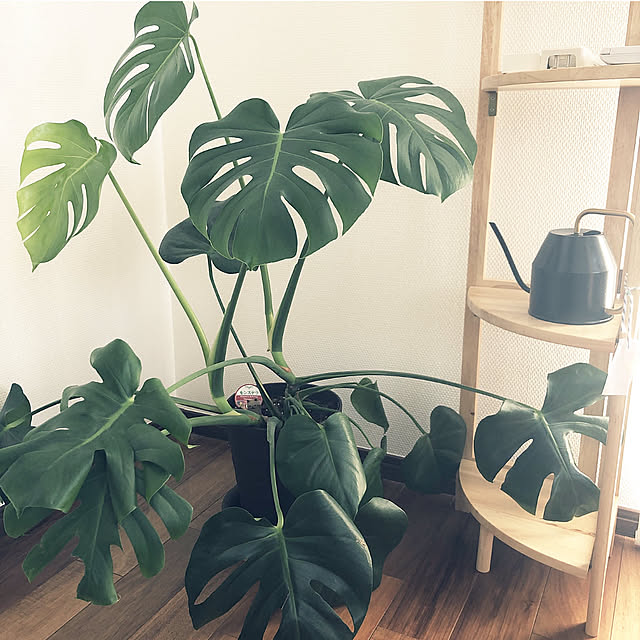 yunyumさんの部屋