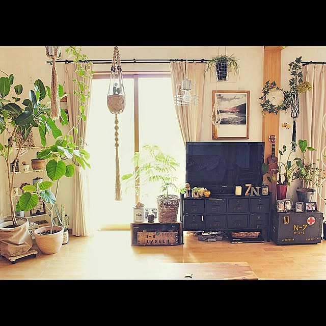 coKoさんの実例写真