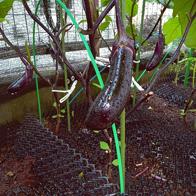 mocomocoさんの部屋