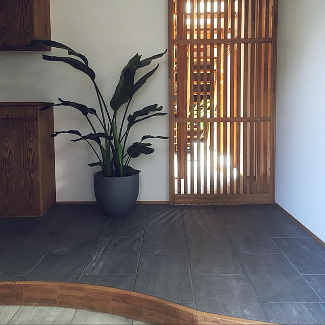玄関/入り口/造作建具/観葉植物/オーガスタ/RC北海道支部...などのインテリア実例 - 2018-12-18 22:31:54